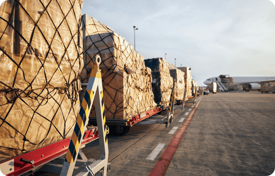 Maman cargo terminals