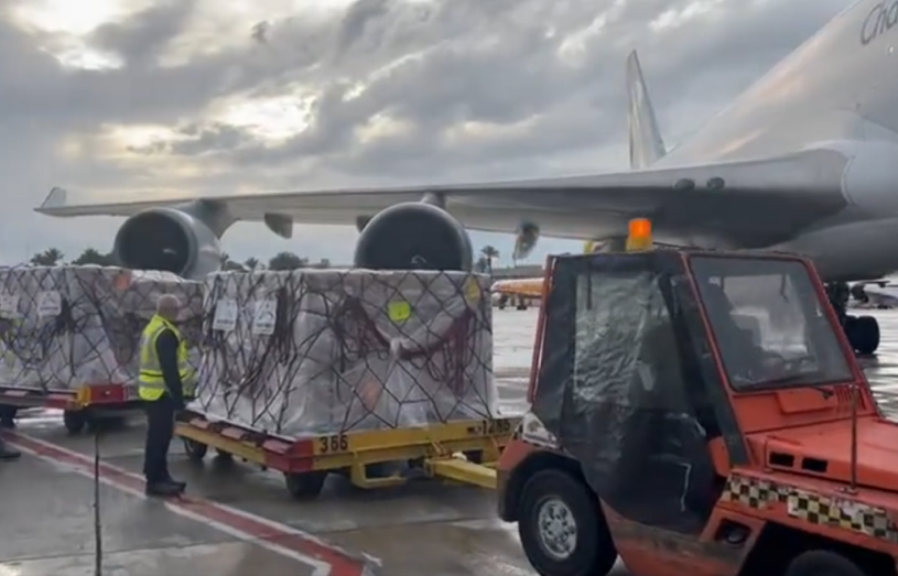 Maman cargo terminals